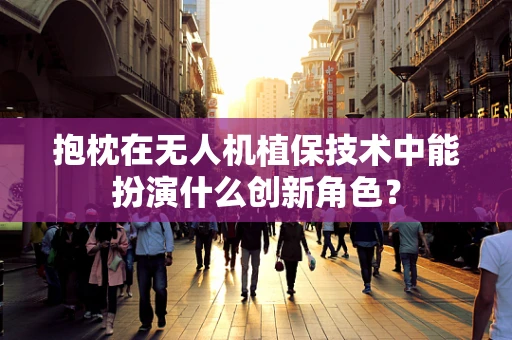 抱枕在无人机植保技术中能扮演什么创新角色？