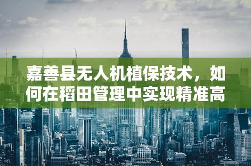 嘉善县无人机植保技术，如何在稻田管理中实现精准高效？