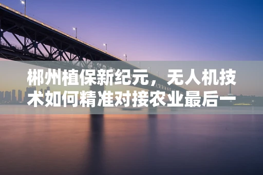 郴州植保新纪元，无人机技术如何精准对接农业最后一公里？