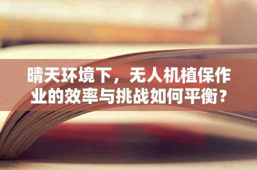 晴天环境下，无人机植保作业的效率与挑战如何平衡？
