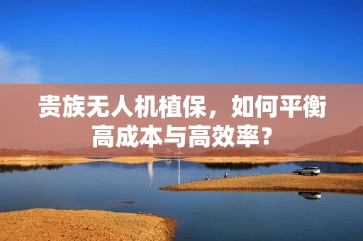 贵族无人机植保，如何平衡高成本与高效率？