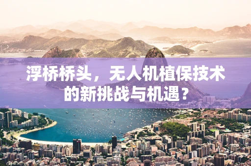 浮桥桥头，无人机植保技术的新挑战与机遇？