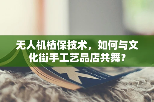 无人机植保技术，如何与文化街手工艺品店共舞？