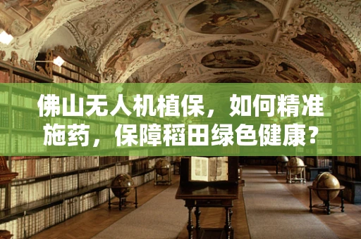 佛山无人机植保，如何精准施药，保障稻田绿色健康？