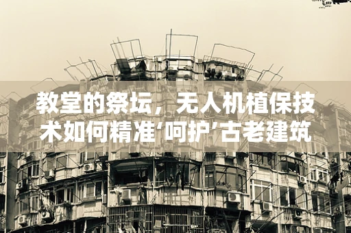 教堂的祭坛，无人机植保技术如何精准‘呵护’古老建筑？