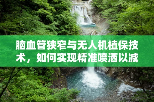 脑血管狭窄与无人机植保技术，如何实现精准喷洒以减少农药对人体的潜在风险？