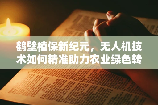 鹤壁植保新纪元，无人机技术如何精准助力农业绿色转型？