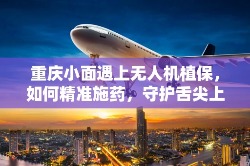 重庆小面遇上无人机植保，如何精准施药，守护舌尖上的安全？