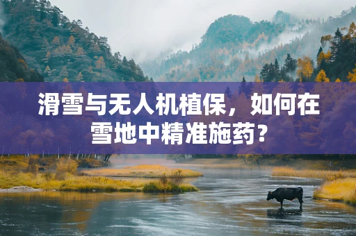 滑雪与无人机植保，如何在雪地中精准施药？