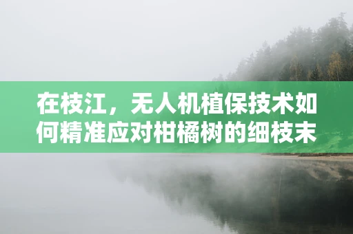 在枝江，无人机植保技术如何精准应对柑橘树的细枝末节？