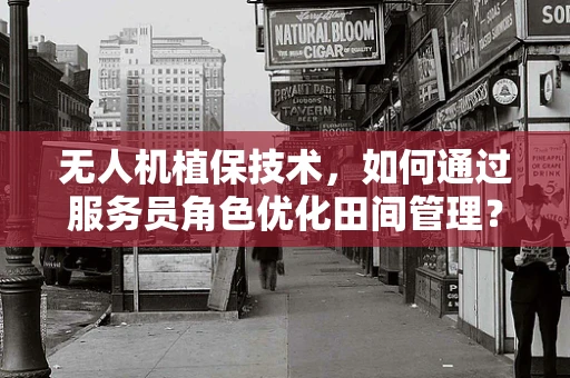 无人机植保技术，如何通过服务员角色优化田间管理？