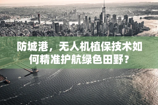 防城港，无人机植保技术如何精准护航绿色田野？