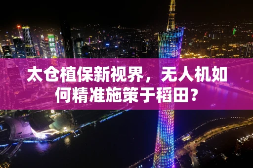 太仓植保新视界，无人机如何精准施策于稻田？