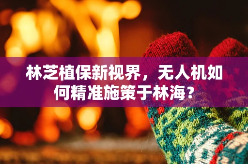 林芝植保新视界，无人机如何精准施策于林海？