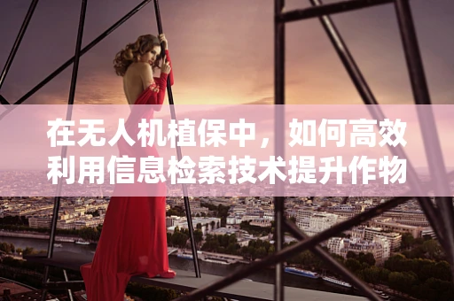 在无人机植保中，如何高效利用信息检索技术提升作物监测精度？