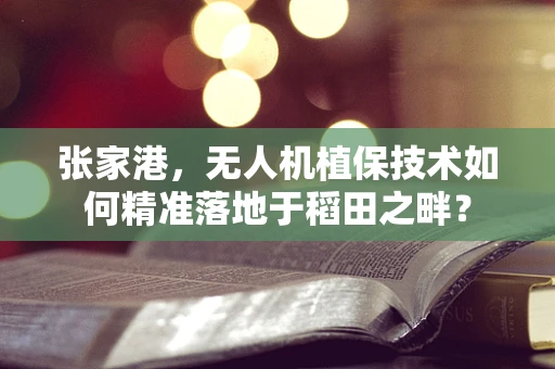 张家港，无人机植保技术如何精准落地于稻田之畔？