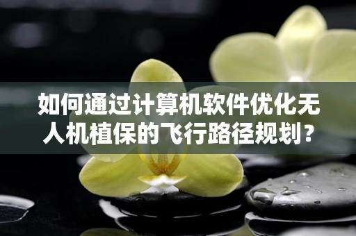 如何通过计算机软件优化无人机植保的飞行路径规划？