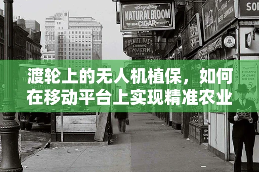 渡轮上的无人机植保，如何在移动平台上实现精准农业？