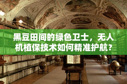 黑豆田间的绿色卫士，无人机植保技术如何精准护航？