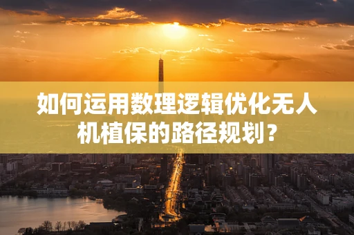 如何运用数理逻辑优化无人机植保的路径规划？