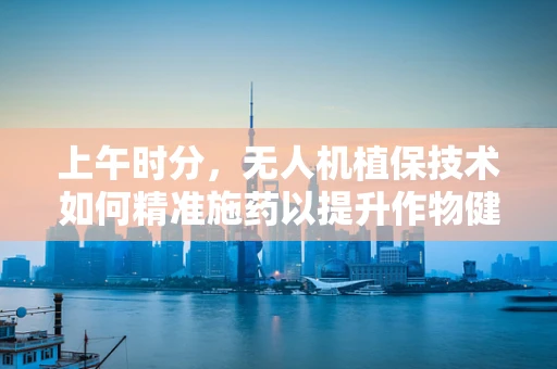上午时分，无人机植保技术如何精准施药以提升作物健康？