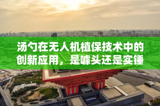 汤勺在无人机植保技术中的创新应用，是噱头还是实锤？