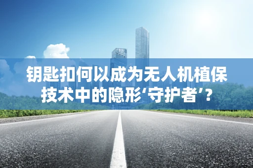 钥匙扣何以成为无人机植保技术中的隐形‘守护者’？