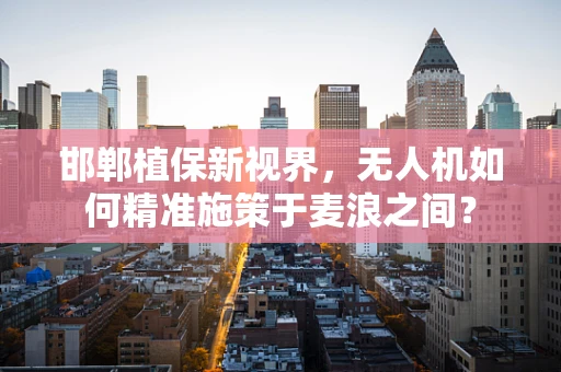 邯郸植保新视界，无人机如何精准施策于麦浪之间？