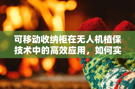 可移动收纳柜在无人机植保技术中的高效应用，如何实现便捷与安全的双重保障？