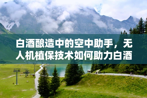 白酒酿造中的空中助手，无人机植保技术如何助力白酒生产？