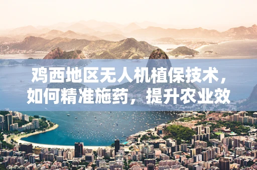 鸡西地区无人机植保技术，如何精准施药，提升农业效率？