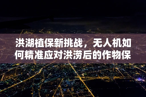 洪湖植保新挑战，无人机如何精准应对洪涝后的作物保护？