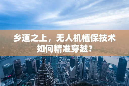 乡道之上，无人机植保技术如何精准穿越？