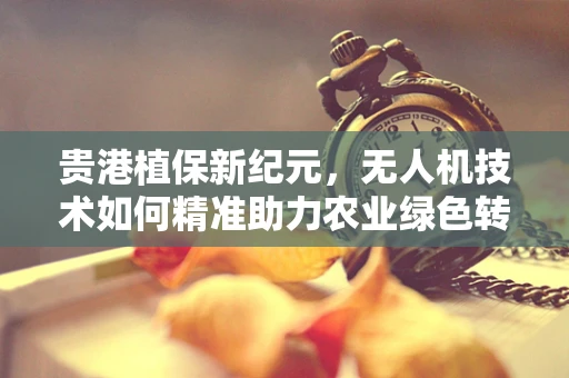 贵港植保新纪元，无人机技术如何精准助力农业绿色转型？