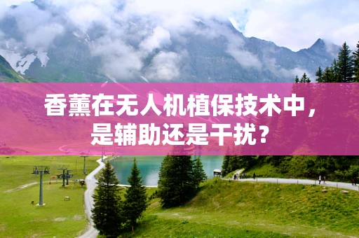 香薰在无人机植保技术中，是辅助还是干扰？