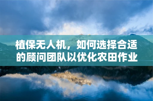 植保无人机，如何选择合适的顾问团队以优化农田作业？