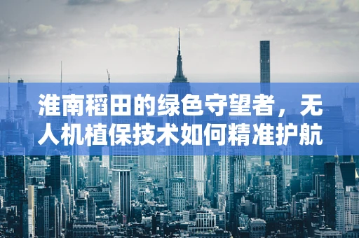 淮南稻田的绿色守望者，无人机植保技术如何精准护航？