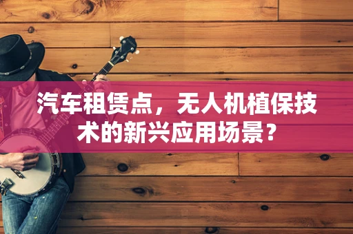 汽车租赁点，无人机植保技术的新兴应用场景？