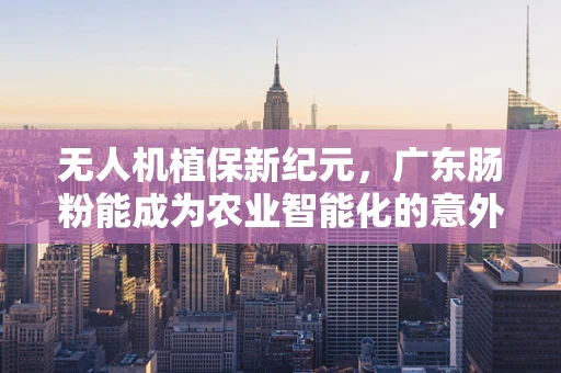 无人机植保新纪元，广东肠粉能成为农业智能化的意外调味剂吗？