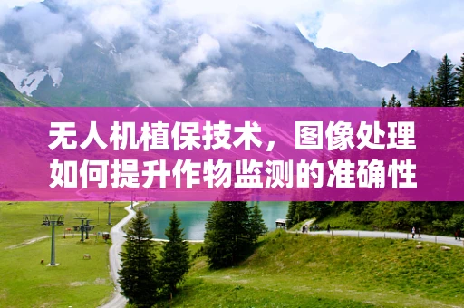 无人机植保技术，图像处理如何提升作物监测的准确性？