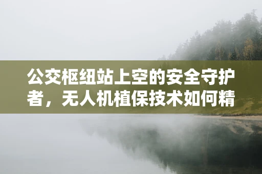 公交枢纽站上空的安全守护者，无人机植保技术如何精准施策？