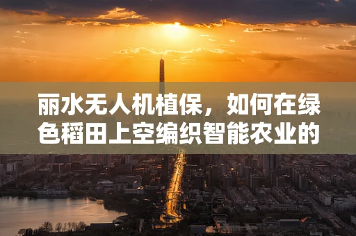 丽水无人机植保，如何在绿色稻田上空编织智能农业的未来？
