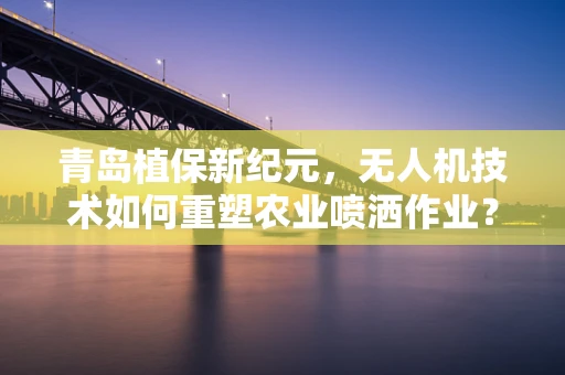 青岛植保新纪元，无人机技术如何重塑农业喷洒作业？