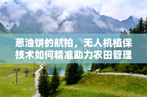 葱油饼的航拍，无人机植保技术如何精准助力农田管理？