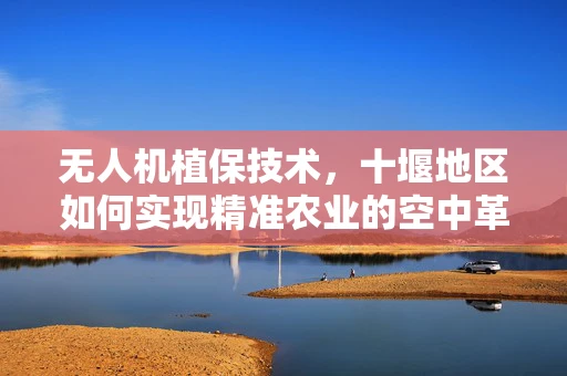 无人机植保技术，十堰地区如何实现精准农业的空中革命？