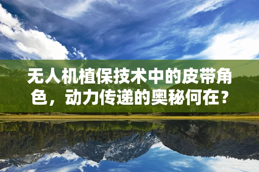 无人机植保技术中的皮带角色，动力传递的奥秘何在？