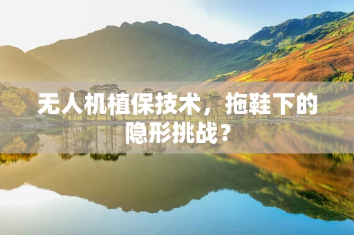 无人机植保技术，拖鞋下的隐形挑战？