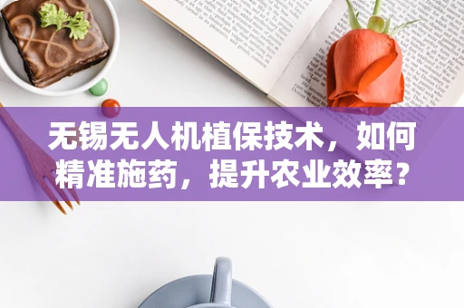 无锡无人机植保技术，如何精准施药，提升农业效率？