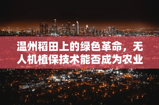 温州稻田上的绿色革命，无人机植保技术能否成为农业新宠？