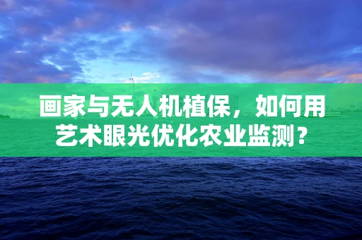 画家与无人机植保，如何用艺术眼光优化农业监测？